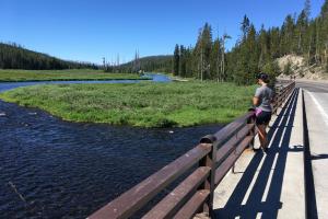 Leaving Yellowstone