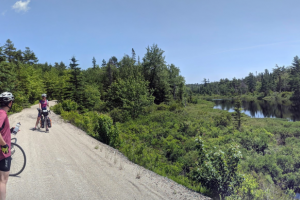 Figure 15: A typically wooded view along the many rail trails of Nova Scotia’s South Coast. 